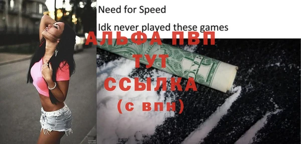 прущие крисы Тында
