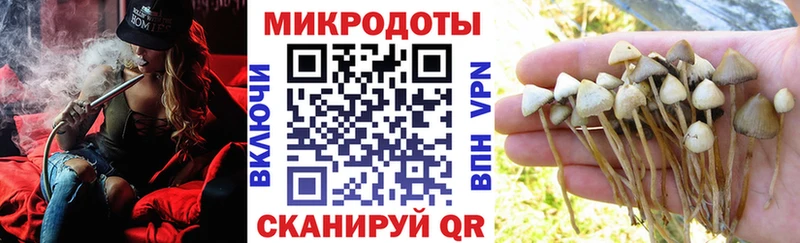 Псилоцибиновые грибы прущие грибы  цены наркотик  Кашин 